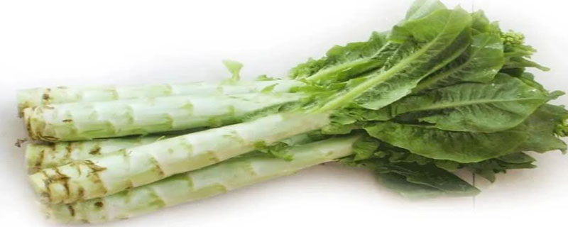 吃茎的蔬菜有哪些 吃茎的蔬菜有哪些图片简笔画