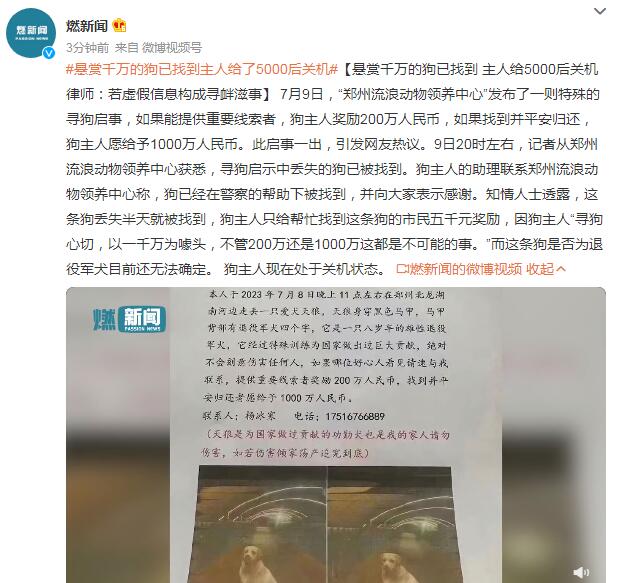 悬赏千万的狗已找到 悬赏15万找狗