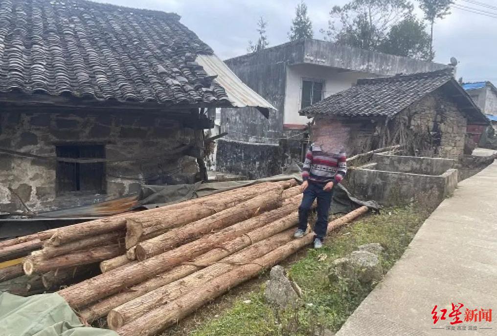 村民砍伐自家514株林木涉嫌滥伐林木罪被刑拘，警方：自有林木也不可任性采伐