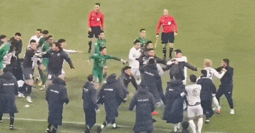 浙江队与武里南联亚冠赛后爆发激烈冲突！多名球员动手，必将招致亚足联重罚