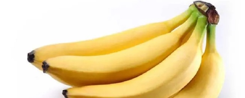 现在吃的黄色香蕉是怎么来的 现在吃的黄色香蕉怎么来的芭芭农场