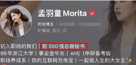 孟羽童个人简介是前500强董事长秘书（孟羽童现在在哪里就职）