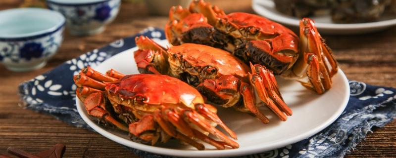减肥期间最多吃几个大闸蟹 一天吃几个螃蟹属于过量