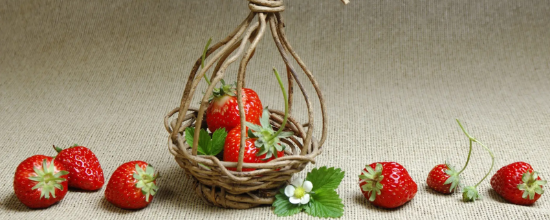 草莓能放冰箱保存吗（草莓能放冰箱保存吗?）