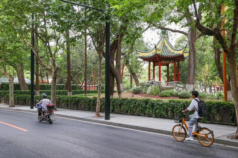 拆→开放！上海要变超大公园（上海公园规划）