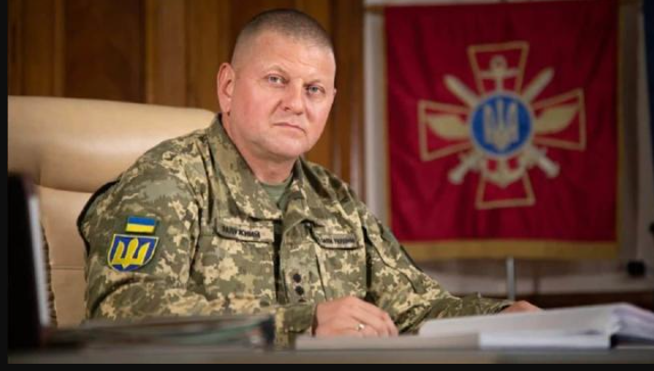 乌军总司令“被辞职” 乌克兰武装部队总司令