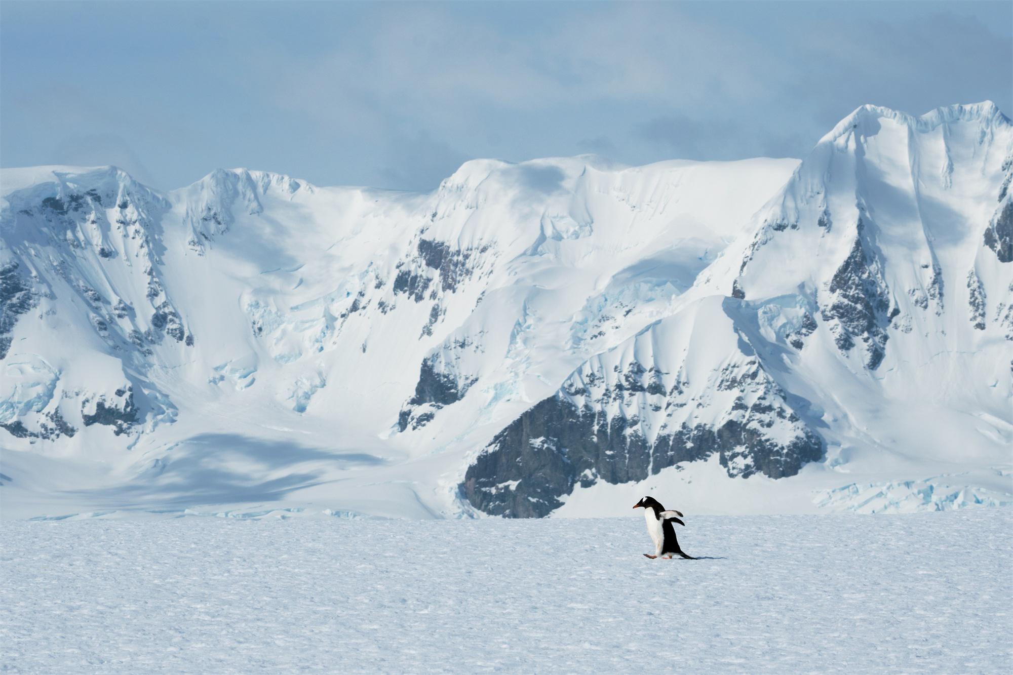 去南极的年轻人，花10万“重启人生” 重返南极