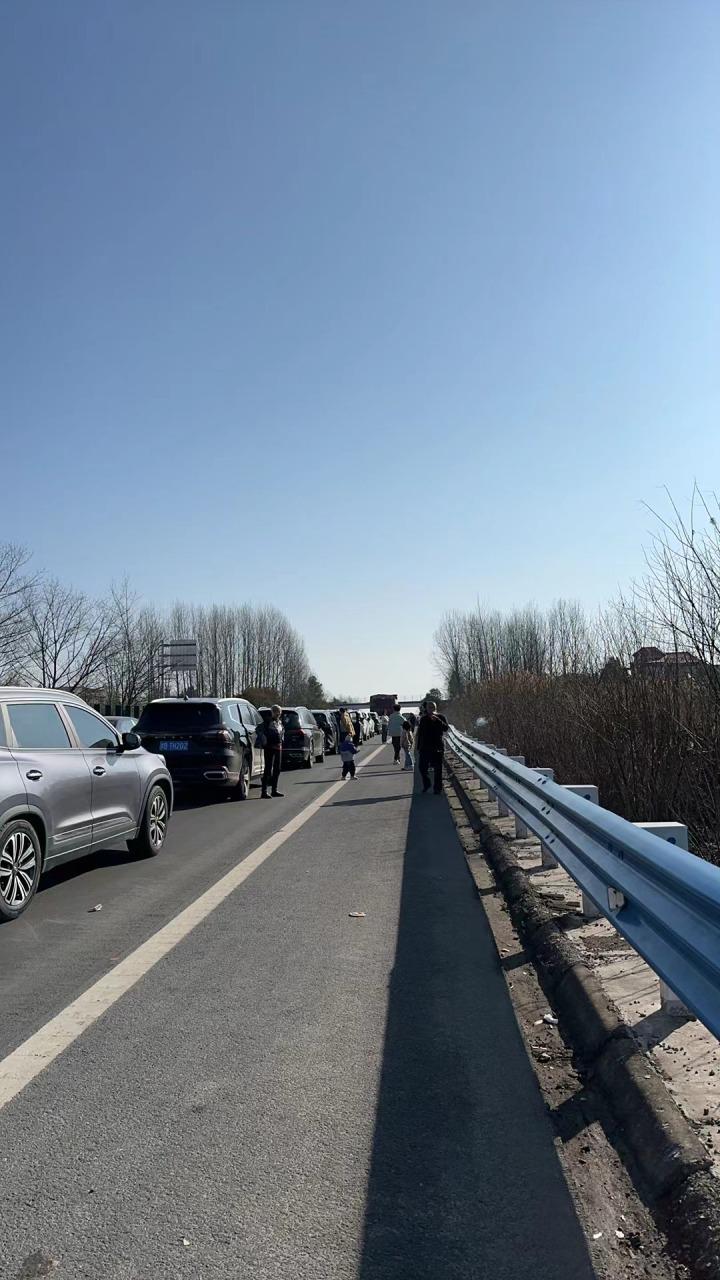 堵堵堵！女子从从河南南阳开车回杭州，4小时只走了两三公里