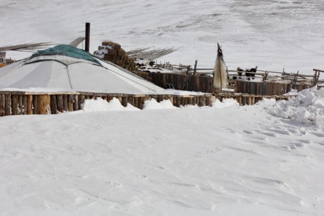 中国政府就蒙古国严重冰雪灾害向蒙古国政府提供紧急援助