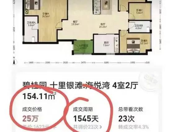 25万就能买走惠州四室两厅海景房，每平仅1623元？中介讲述