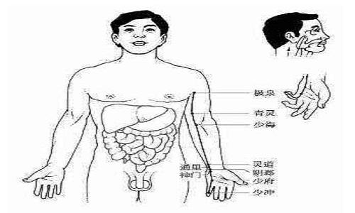 手少阴心经经络图（手少阴心经经络图片）