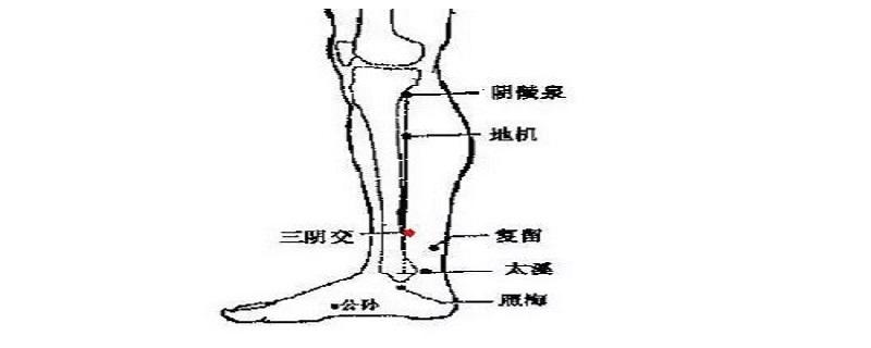 三阴焦位置图怎么按摩 三阴焦位置图和作用的准确位置图视频