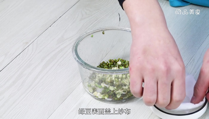 绿豆芽的发法 绿豆怎么发芽