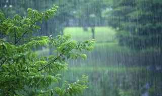 几时入梅几时出梅 梅雨季节解释