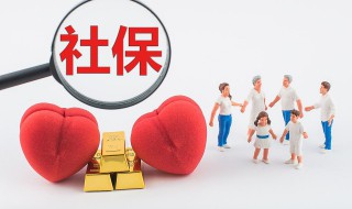 社保什么意思 网络 社保网络用语是什么意思