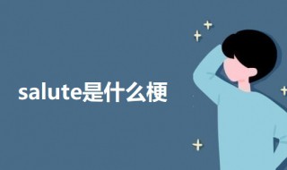 salute是什么梗 salute的意思介绍