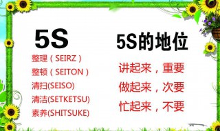 5s指的是什么 5s内容是什么