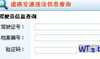 公安交通网查巡违章记录 全国违章查询