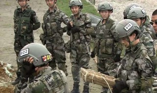 特种兵之火凤凰演员表 特种兵之火凤凰演员表名单