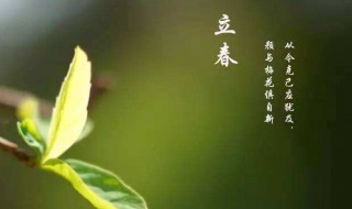 立春那天应该吃什么（立春那天应该吃什么菜）