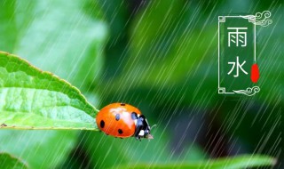 关于雨水节气的文案 关于雨水节气的文案语录