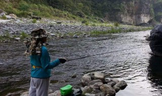 钓柳根鱼钓底还是钓浮（柳根鱼钓浮还是低）