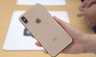 iphonexsmax的屏幕镜像是什么（xsmax屏幕镜像是什么意思）