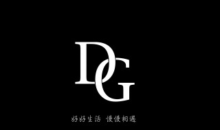 dg是什么品牌标志 dg是什么品牌标志gmg