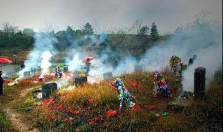 已故亲人坟头草很旺盛可以除草么（亲人坟头上的草能拔吗）