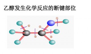 乙醇的化学性质 乙醇的化学性质知识点