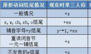 动词第三人称单数如何变化（动词第三人称单数变化形式）