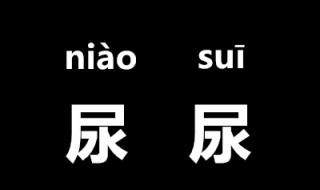 尿尿的正确读音 尿的读音是什么