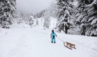 雪的寓意 太阳雪的寓意