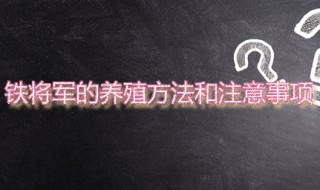 铁将军的养殖方法和注意事项