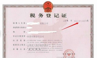 纳税人识别号在哪里（纳税人识别号在哪里看）