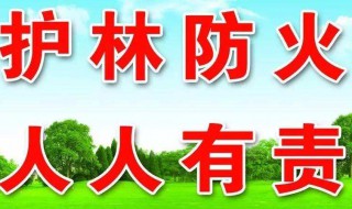 森林防火作文 森林防火作文800字