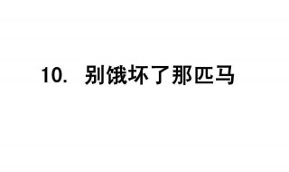 别饿坏了那匹马读后感 别饿坏了那匹马读后感300字