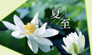 夏至在哪个节气之后（夏至后的两个节气）