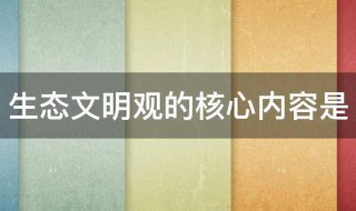 生态文明观的核心内容是（生态文明观的核心内容是( ）