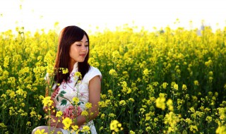 油菜花开的季节（油菜花开的季节优美的句子）