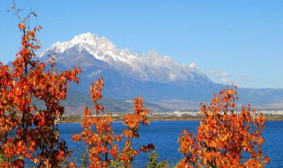 丽江旅游什么季节好 丽江旅游什么季节最好