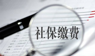 辞职后自己怎么交社保 公司辞职后自己怎么交社保