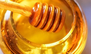 吃蜂蜜的好处 吃蜂蜜的好处和作用