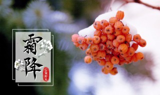 霜降节气祝福语 霜降节气祝福语句