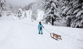 雪的等级划分（雪等级划分图）