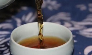 虫茶的正确泡法方法（虫茶的制作）