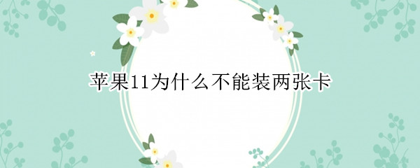 苹果11为什么不能装两张卡（苹果11不能装两张卡吗）