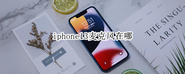 iphone13麦克风在哪（iPhone13麦克风在哪里）