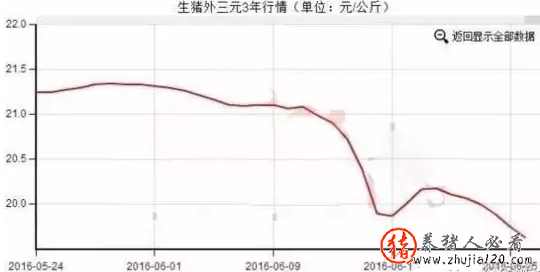 多因素致猪价回落 下半年百姓拎“菜篮子”将变轻松