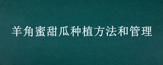 羊角蜜甜瓜种植方法和管理 羊角蜜甜瓜种植方法和管理留几个叉